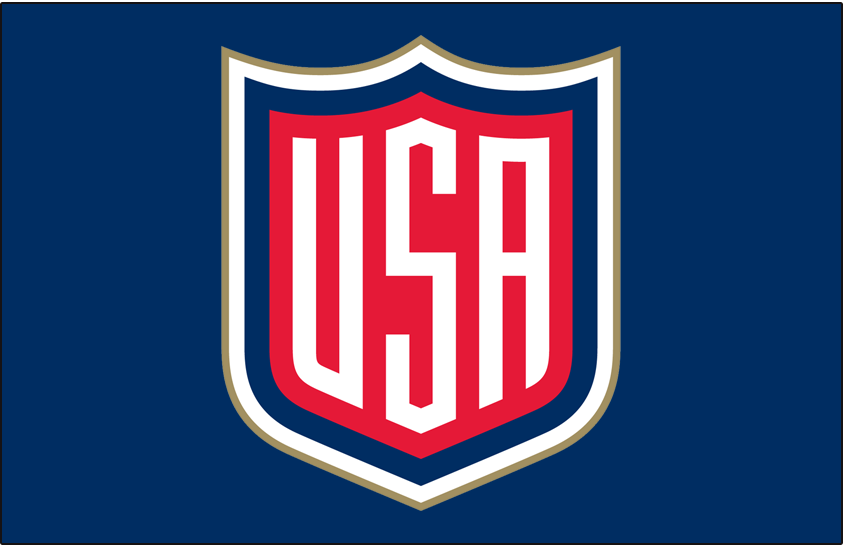 World Cup of Hockey 2017 Jersey Logo v3 iron on heat transfer